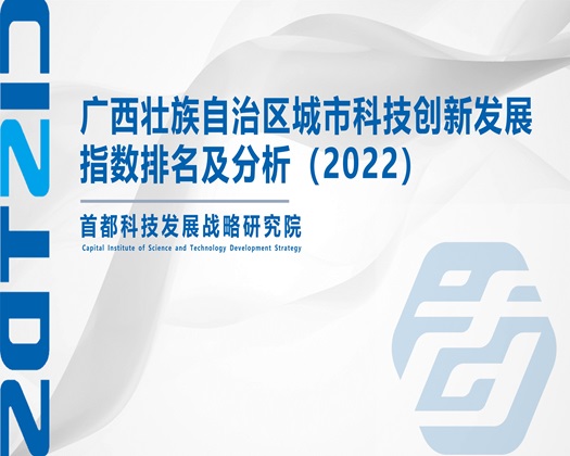 欧美大屌艹【成果发布】广西壮族自治区城市科技创新发展指数排名及分析（2022）